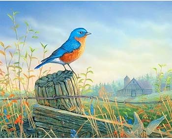 THE CABIN COMPANY 鳥のアクリル画 THE CABIN COMPANY 鳥のアクリル画