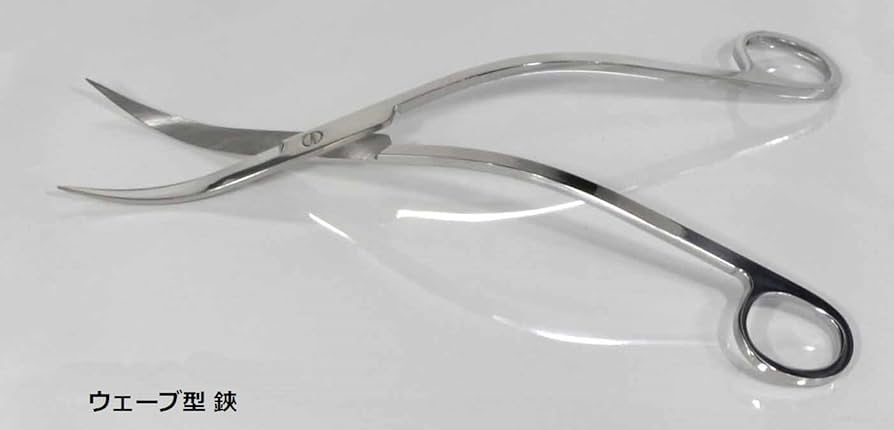 Amazon.co.jp: 水槽 トリミング ハサミ ピンセット 4点セット