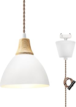 Amazon.co.jp : DiCUNO ペンダントライト 引掛シーリング用 LED一体型