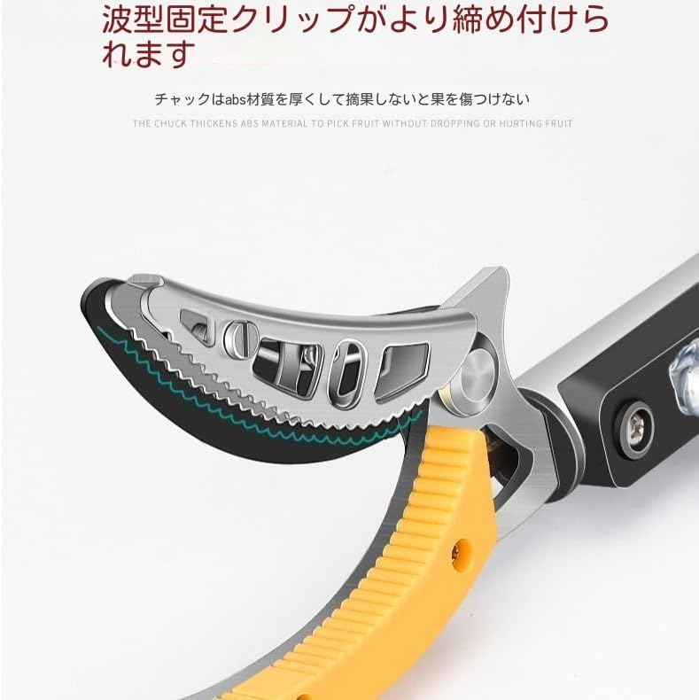 小説故郷の口絵中沢弘光画と河鍋暁斎の口絵狸の2枚売りです 小説故郷の