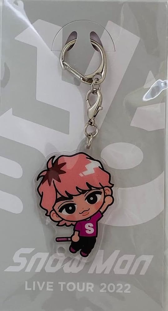 SnowMan すのチル ぶら下がりシリーズ 9体セット ポストカード付き