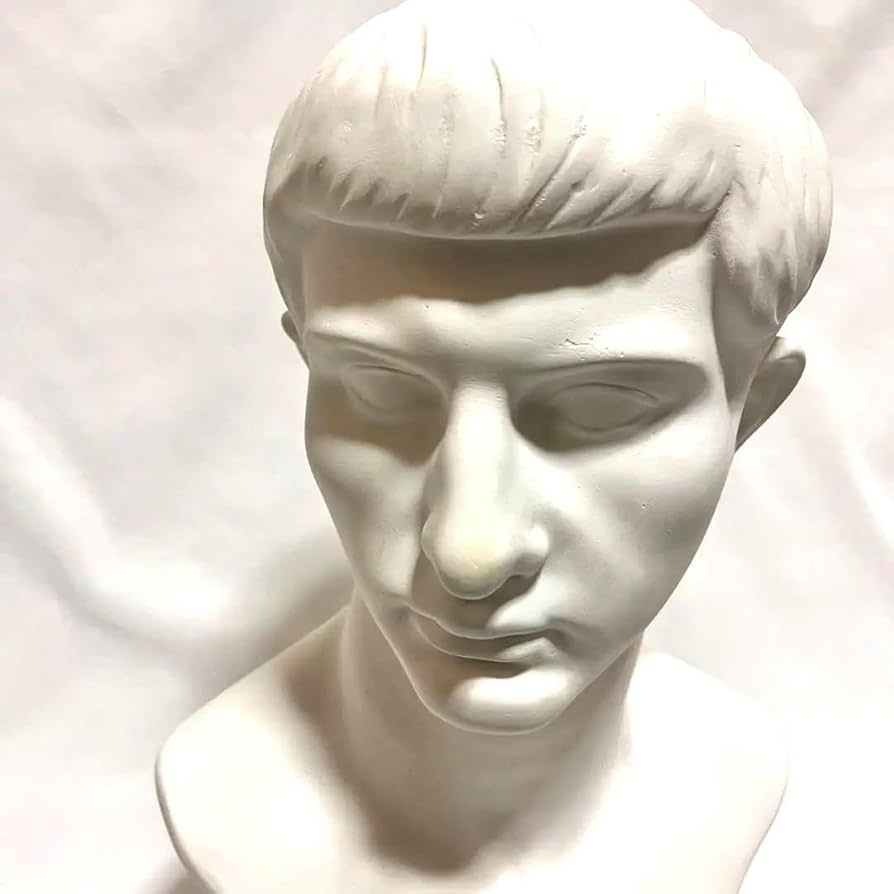 ブルータス石膏胸像 。デッサン。美術。教材 11月の石膏像は