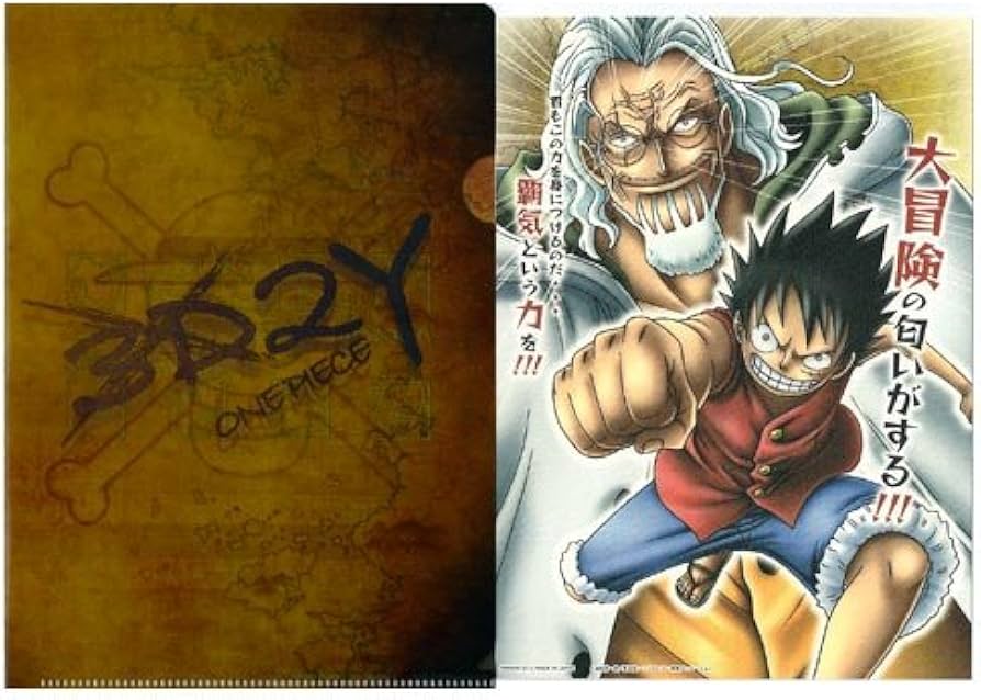 Amazon.co.jp: ワンピース ビジュアルアートファイル2012 NEW WORLD