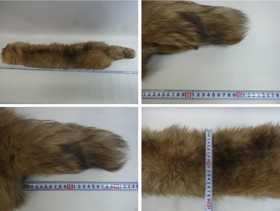 タヌキ剥製 ラクーンドック 毛皮 小型 マフラー リアルファー タヌキ