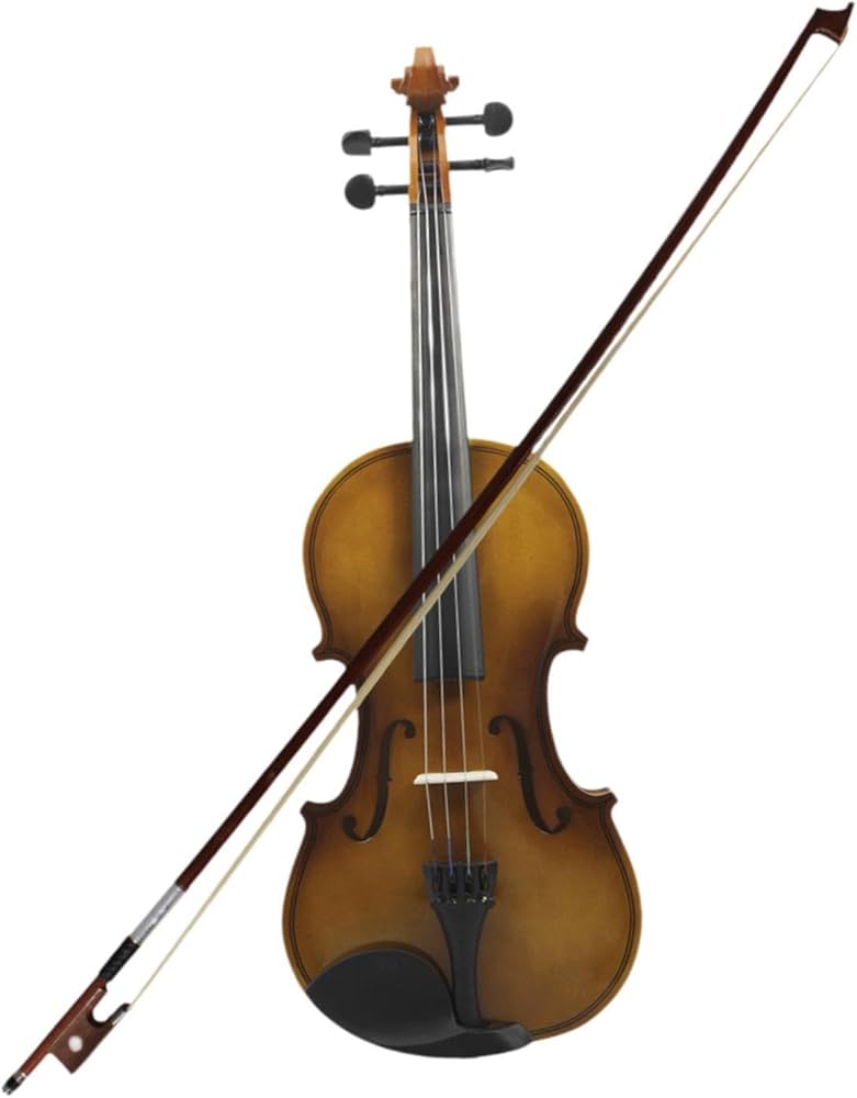 バイオリン本体 木製 ブラウン 4弦 4/4 【公式通販】