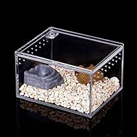 Amazon | 昆虫飼育箱、クリアースライダー、昆虫飼育ケース、アクリル