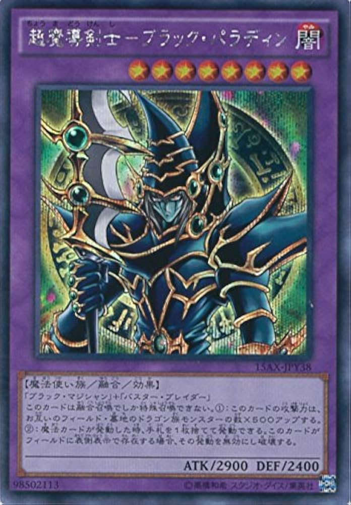 遊戯王 ブラック・パラディン レリーフ 遊戯王 超魔導剣士 ブラック