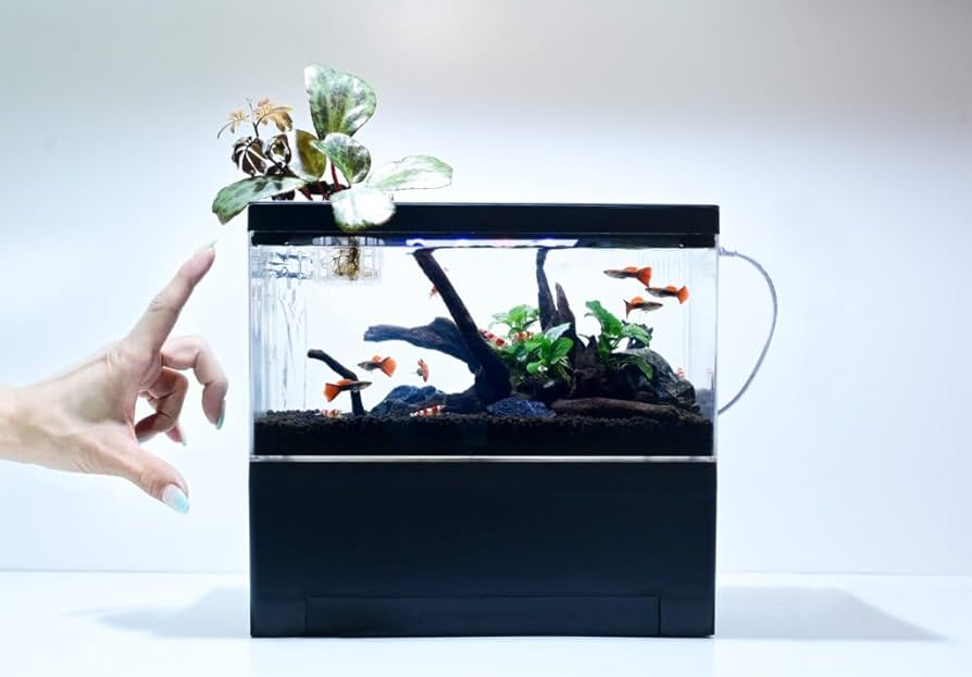 水槽 120 引き取り限定