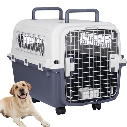 バリケン（中〜大型犬）