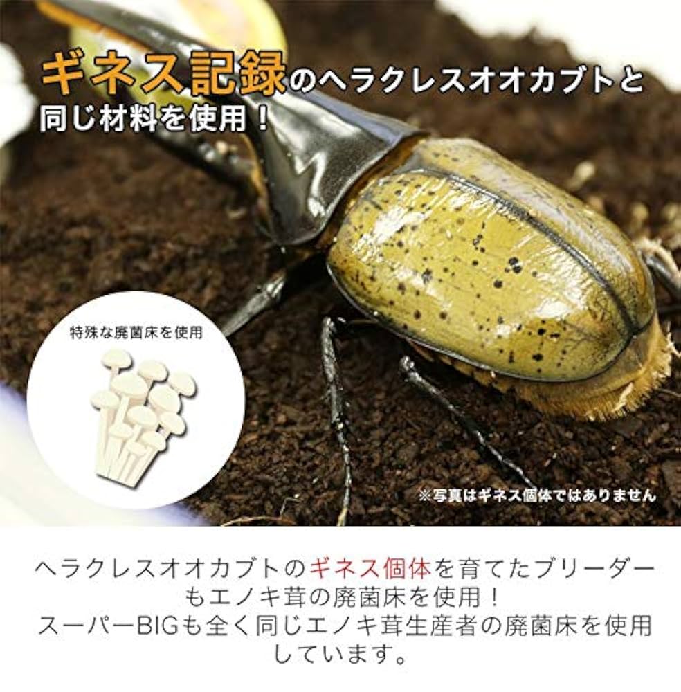 カブトムシ幼虫が大きくなる！発酵マット【たっぷり100リットル】雑虫