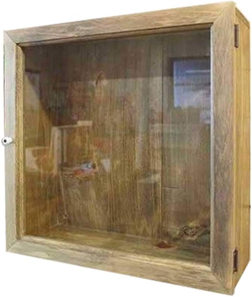 Amazon.co.jp: コレクションケース 木製 ひのき 壁掛けディスプレイ