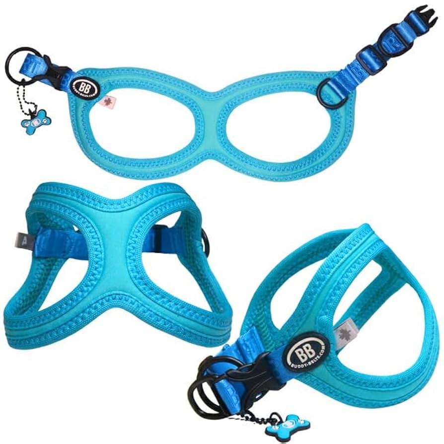 バディベルト BBベルト ベイビーブルー2.5号 【公式通販】