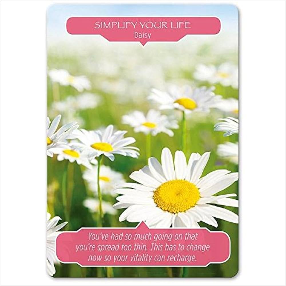 51mq1uZ8BcL._AC_UF1000,