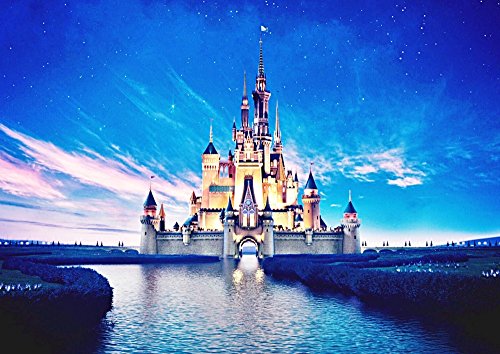 楽天市場】【取寄せ】 ディズニー Disney シンデレラ プリンセス 大き