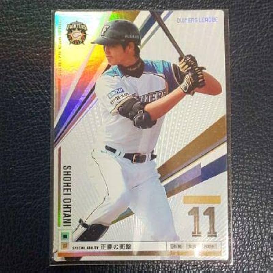 2013 オーナーズリーグ 大谷翔平 ルーキー