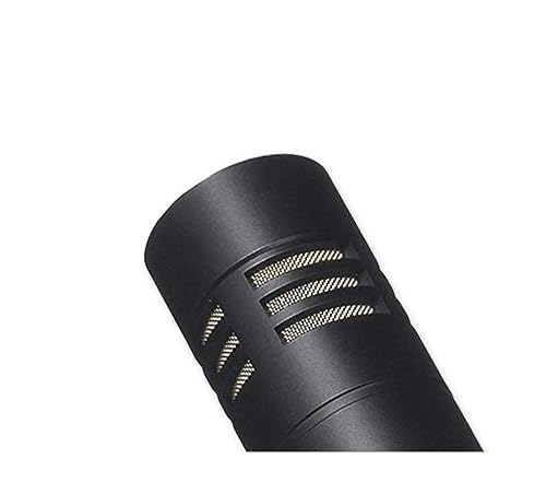 Amazon.com: AKG Pro Audio P170 Professional, All Metal, Switchable