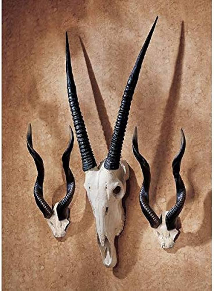 KOB（コブ）角 ハンティングトロフィー アフリカ 剥製 インテリア