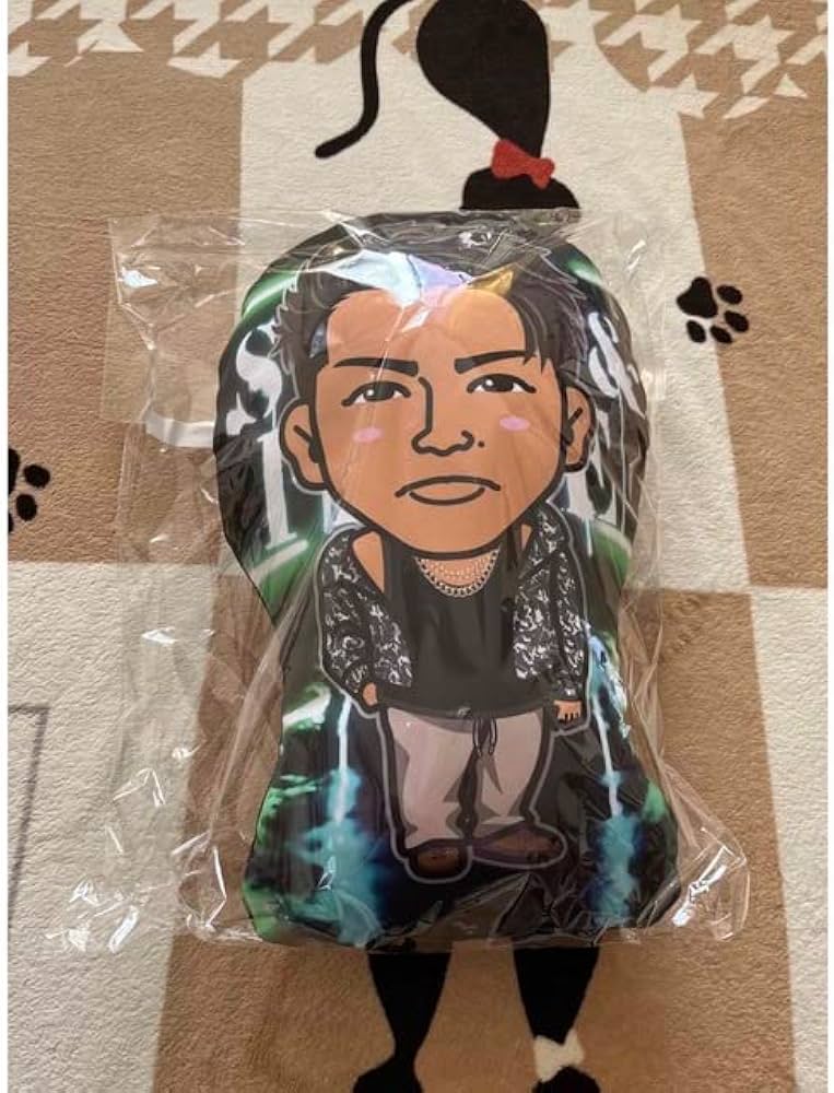 武知海青 クッション THE RAMPAGE 武知海青 16BOOSTERZ クッション THE