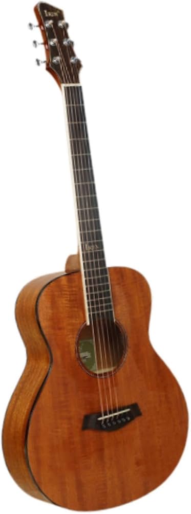 Amazon.co.jp: 37インチ アコースティックギター 楽器 ギター 木製楽器