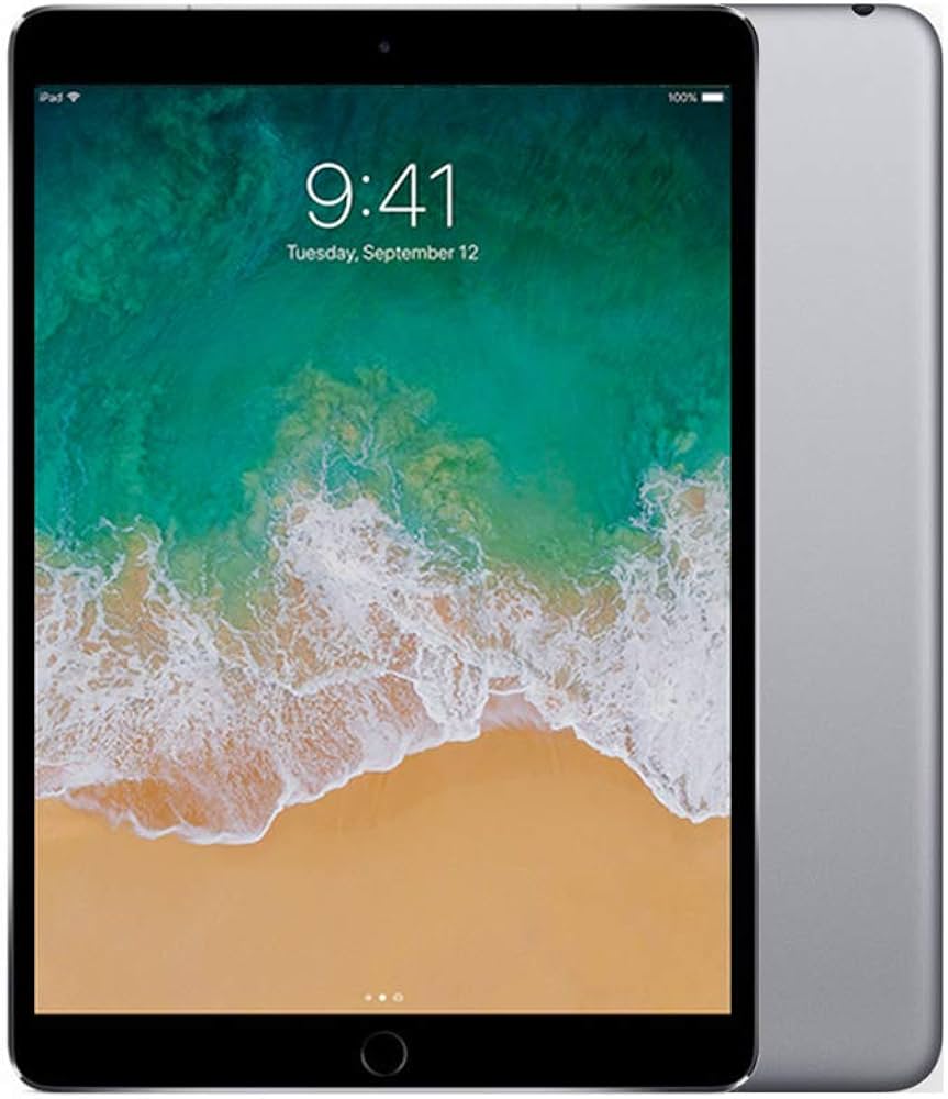 Amazon.com : Apple iPad Pro 10.5in (2017) 256GB, Wi-Fi - Space