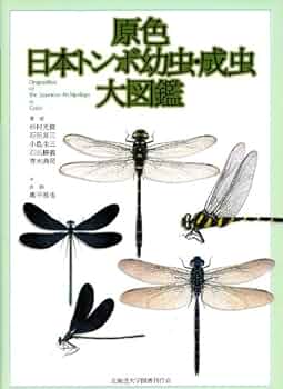 51od1YkpbLL._AC_UF350,