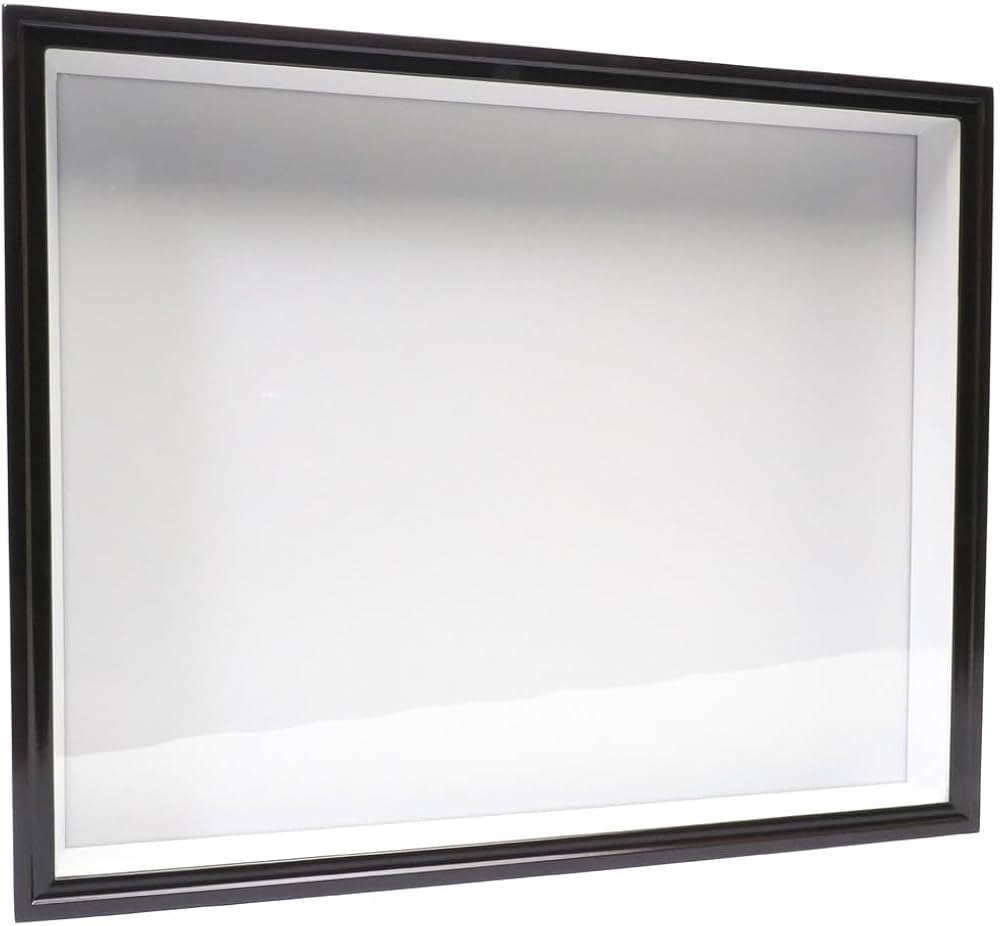 希少・特大】 標本棚 標本箱 17杯