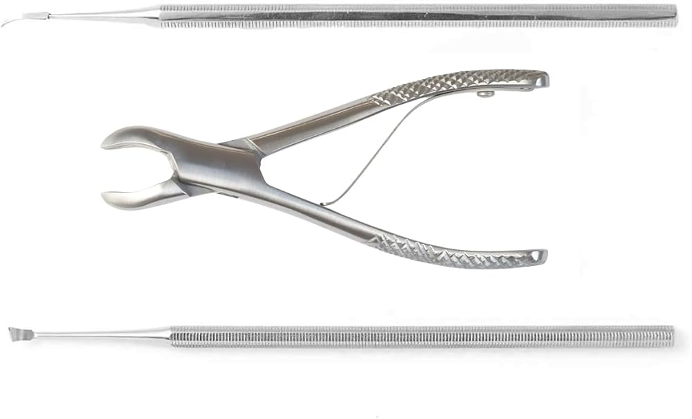 Amazon.co.jp: [帝塚山ハウンドカム] 愛犬愛猫用 歯石取りペンチ