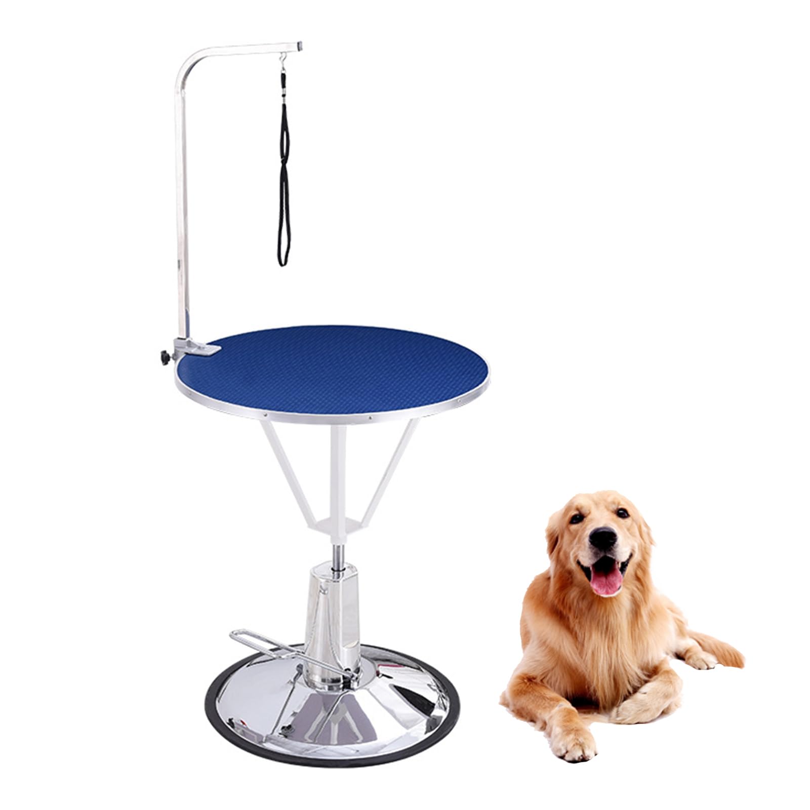 トリミングテーブル トリミング台 ブルー 小型犬 リード付き 【公式通販】