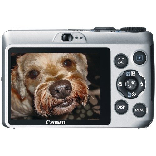 Amazon.com : Canon Powershot A1200 12.1 MP Digital Camera with 4x