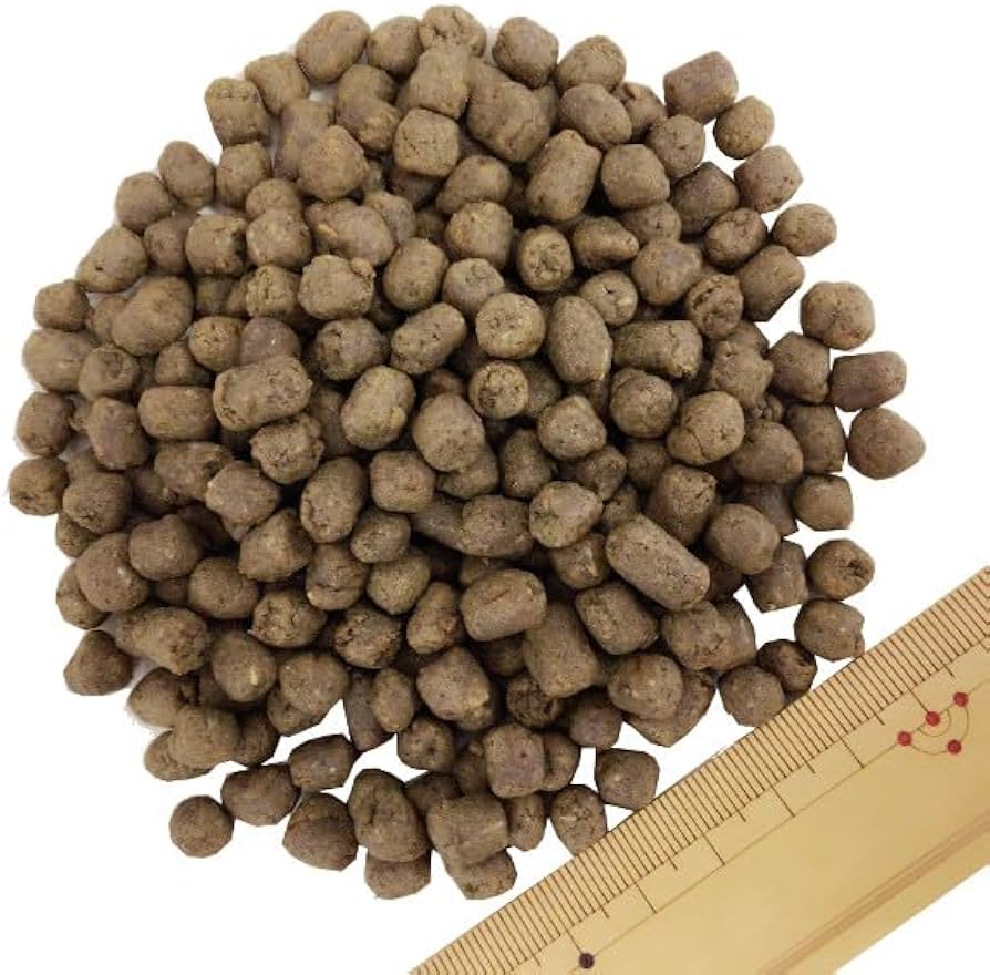 Amazon.co.jp: 国産ドッグフード ZEN プレミアムドッグ グレインフリー