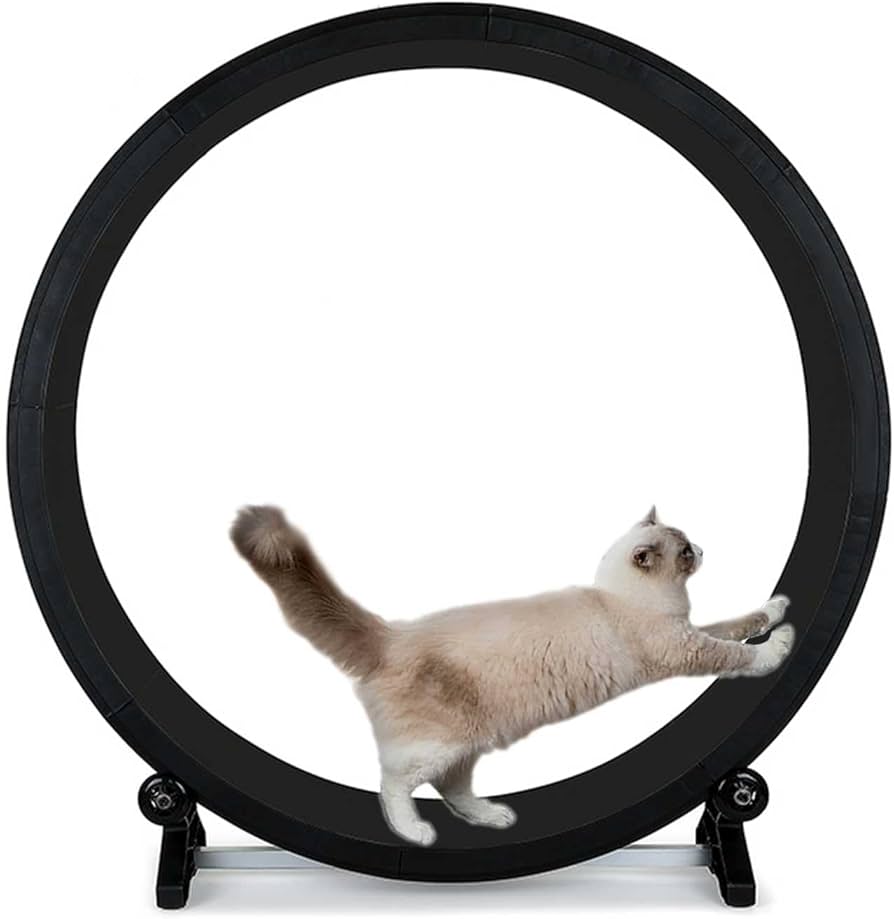 Amazon | キャットホイール 猫 キャットウォーク 回し車 猫 ホイール