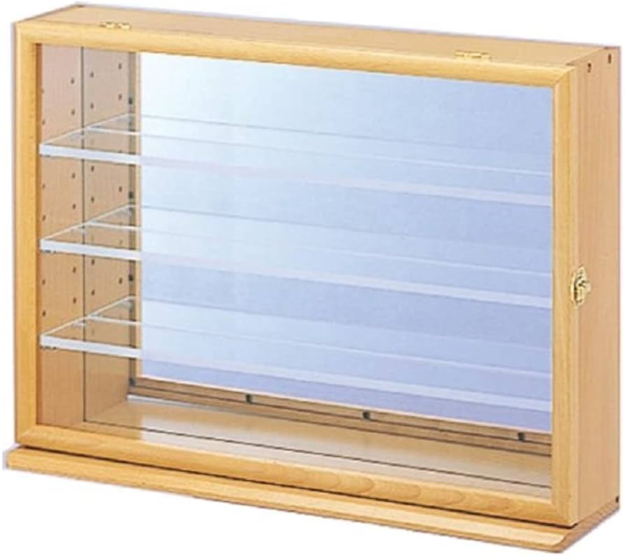 ナカバヤシ コレクションケース 透明アクリル棚板タイプ CCM-101NM