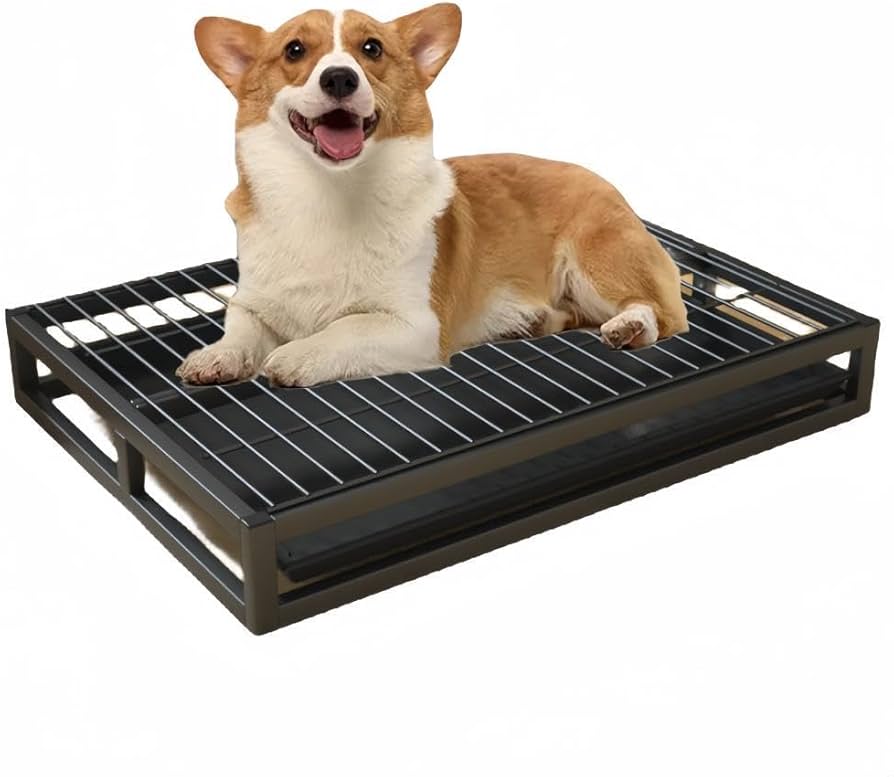 Amazon | Wayocfei 犬 トイレ 引き出し式 ワイド 犬 トイレトレー 2層