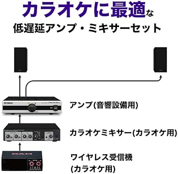 Amazon.co.jp: DAM マイク2本 カラオケセット オーディオスピーカー +