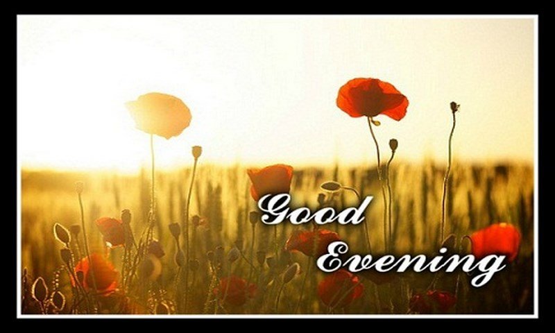 Free Good Evening Wish Card-Amazonアプリストアのアプリ