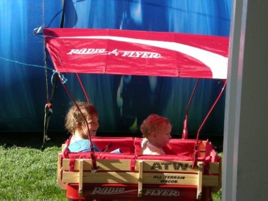 Amazon.co.jp: Radio Flyer Wagon Canopy by Radio Flyer : Toys & Games