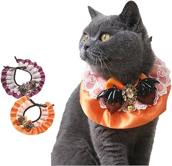 Amazon | rastar ハロウィン ねこ首輪 2色 首輪 シュシュ ハロウィーン