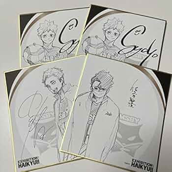 ブラックジャッカル 当選品 日向翔陽 当選 サインボール ハイキュー