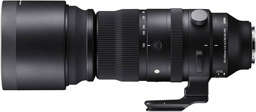 Amazon.com : 150-600mm F5/-6.3 DG DN for Sony E : Electronics