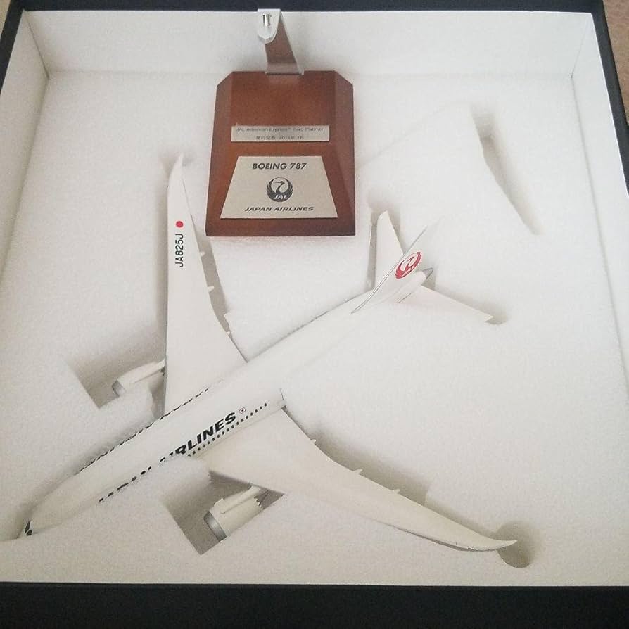 JAL アメリカン・エキスプレス プラチナ JALカード発行記念 プラチナ