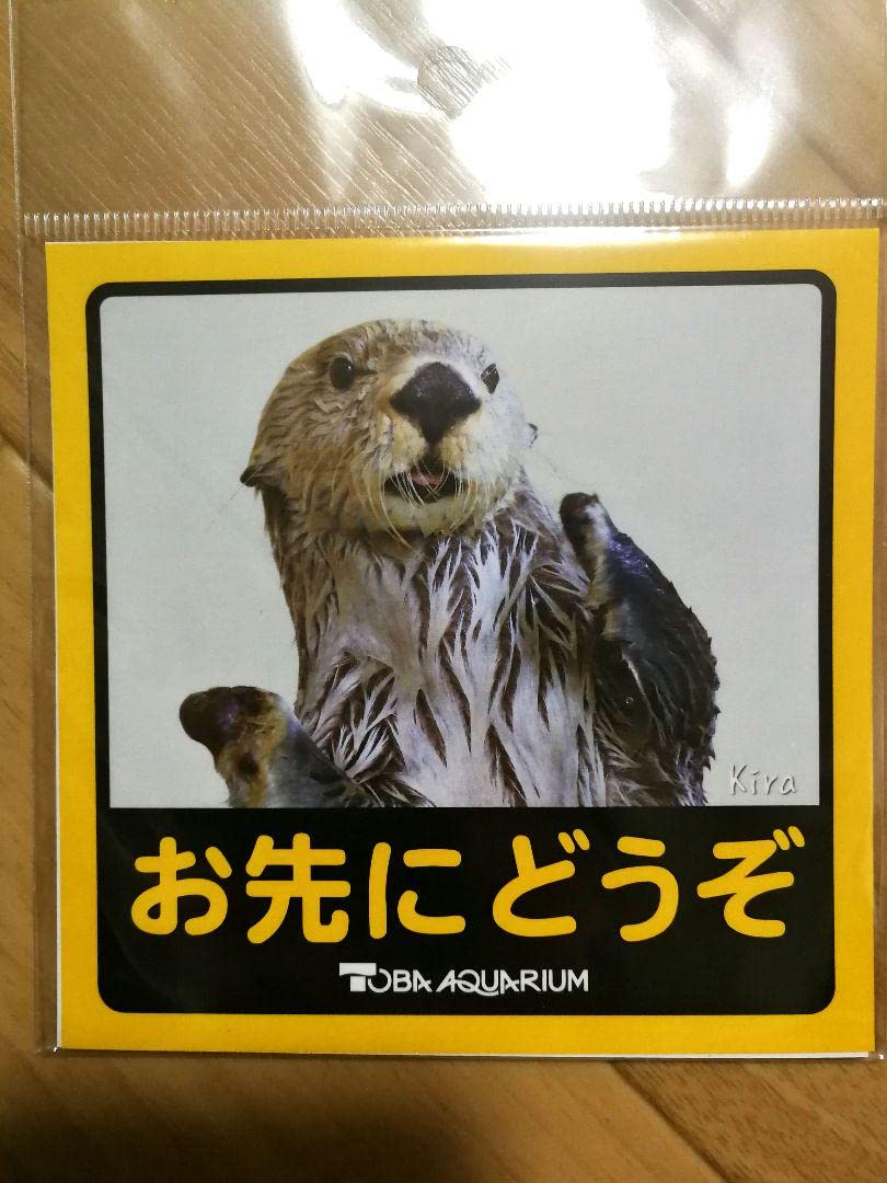 鳥羽水族館 コレクションカード メイ レアカード ラッコ 鳥羽水族館