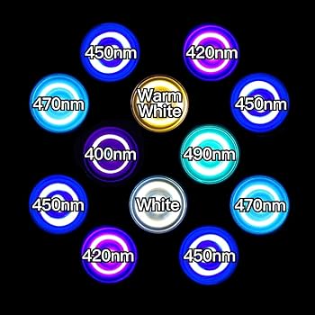 Amazon.co.jp: B.R.S Lighting Master 24DCⅡ【UVコーラル】30,000K