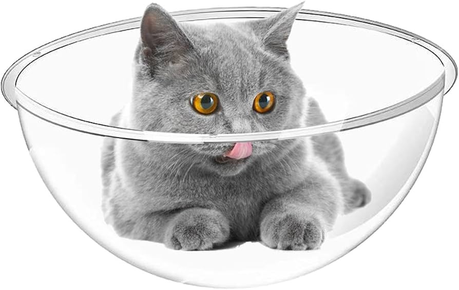 Amazon | キャットタワー宇宙船、宇宙船猫 ハンモック猫、透明