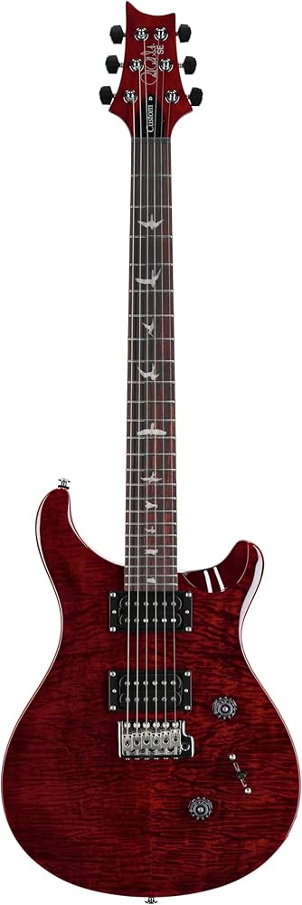 Amazon.com: PRS SE Custom 24 Exclusive with Gig Bag, Black Cherry