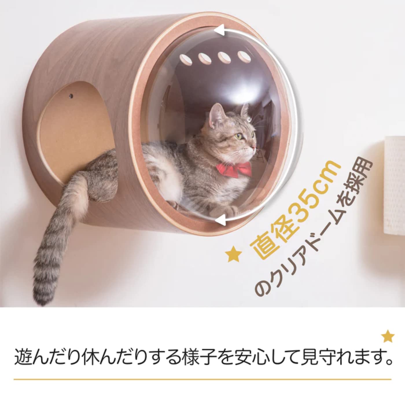 Amazon | MYZOO 宇宙船 猫ハウス ペット用ベッド ドーム状 壁付け対応