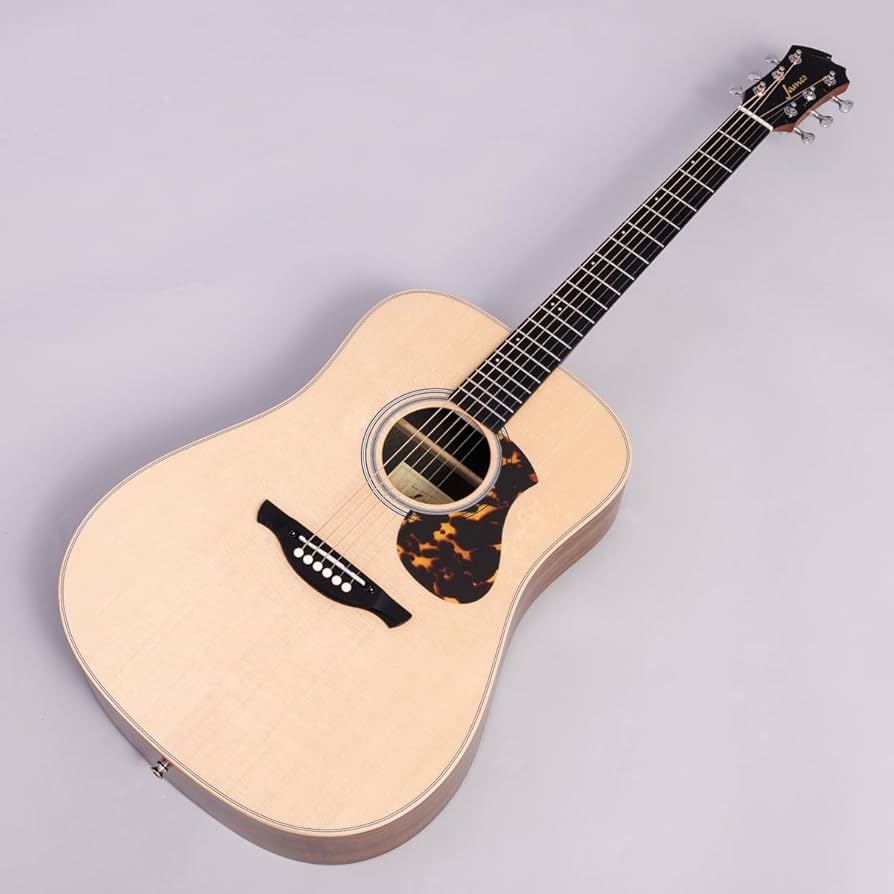 Amazon | James J-300DII アコースティックギター初心者12点セット