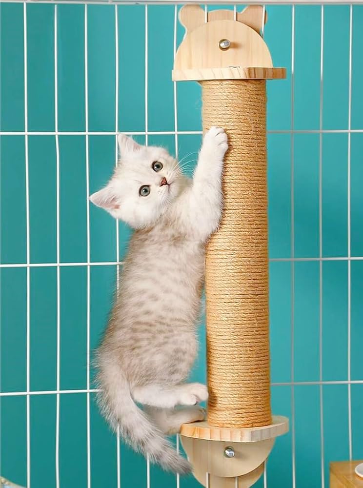 Amazon | 縦型 人気 ネコ キャットポール 猫 爪とぎ 猫 爪とぎ ケージ