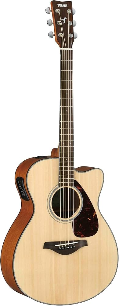 Amazon.com: Yamaha FSX800C Small Body Solid Top Cutaway Acoustic