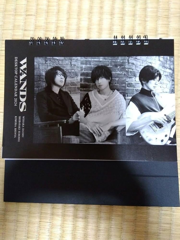 WANDS パンフレット カレンダー