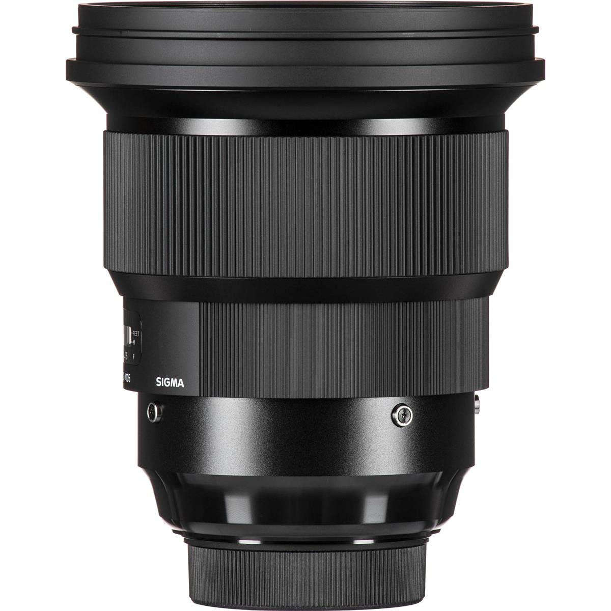 Amazon.com : Sigma 105mm F1.4 DG HSM Art for L Mount : Electronics